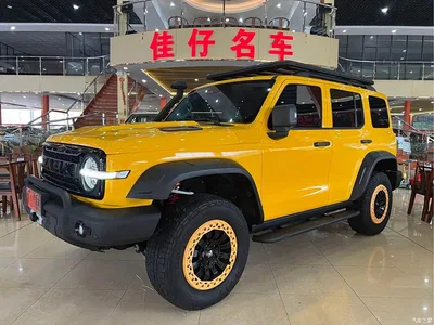 2022 Tank 300 2.0T Border Limited Edition, фото 1, лот 10344405