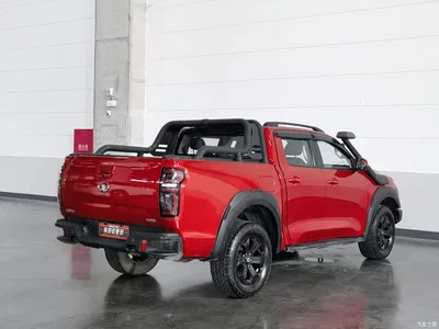 2020 Great Wall Pao 2.0T Off-Road Auto Gasoline 4WD Premium Edition GW4C20B, фото 2, лот 10245692