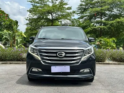2018 GAC Trumpchi Trumpchi M8 320T Premium Edition, фото 2, лот 10385741