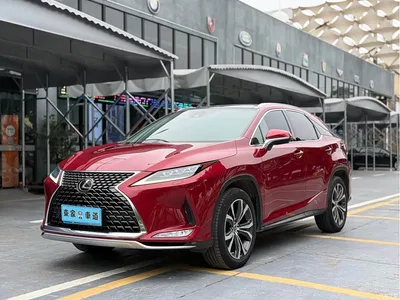 2020 Lexus RX 300 AWD Elegance Edition China V, фото 1, лот 10442080