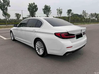 2021 BMW 5 Series New Energy 535Le Luxury Package, фото 4, лот 10479284