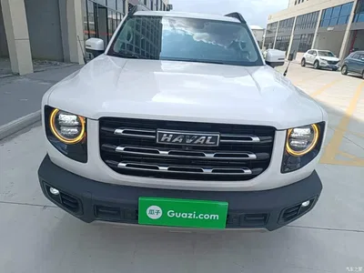2021 Haval Big Dog 1.5T DCT 2WD Border Collie Edition, фото 3, лот 10361309