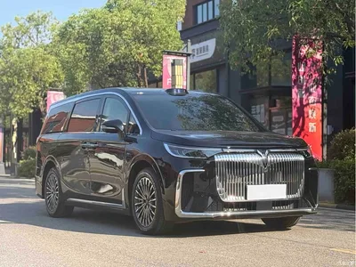 2026 Voyah Auto Voyah Dreamer PHEV Qiankun Pro, фото 3, лот 11502053