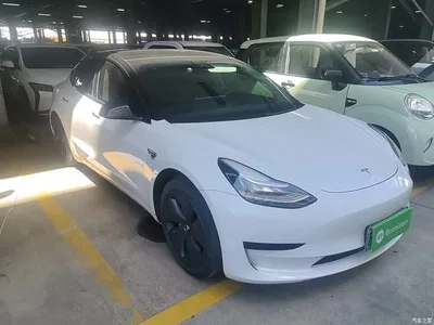 2020 Tesla Model 3 Standard Range Rear-Wheel Drive Upgrade, фото 4, лот 10375629