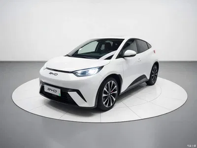 2023 BYD Seagull Freedom Edition, фото 1, лот 11241625