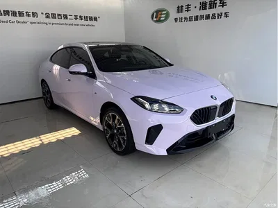 2025 BMW 2 Series 225L M Sport Package, фото 3, лот 10469976