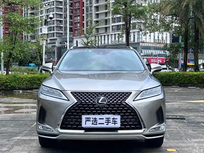 2020 Lexus RX 300 4WD Elegance Edition China VI, фото 2, лот 10318096