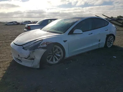 2023 TESLA MODEL 3, фото 1, лот 10856517