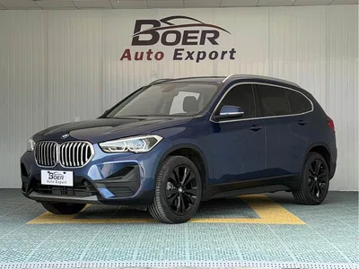 2021 BMW X1 sDrive20Li Fashion, фото 1, лот 10466663