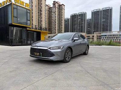 2024 BYD Qin PLUS Glory Edition DM-i 55KM Leading, фото 1, лот 10363394