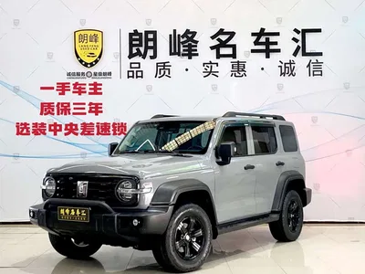 2021 Tank 300 Off-road Edition 2.0T Challenger, фото 1, лот 10344353