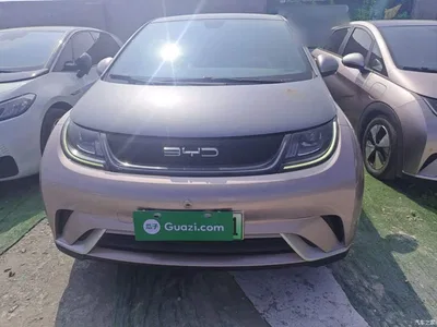 2021 BYD Dolphin Model 405km Fashion Edition, фото 3, лот 11178663