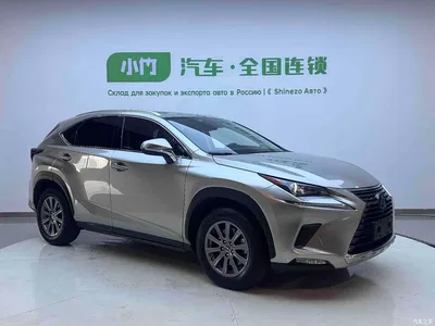 2020 Lexus NX 200 AWD F Sport China V, фото 3, лот 10446003
