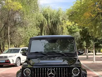 2010 Mercedes-Benz G-Class G 500, фото 3, лот 11412138