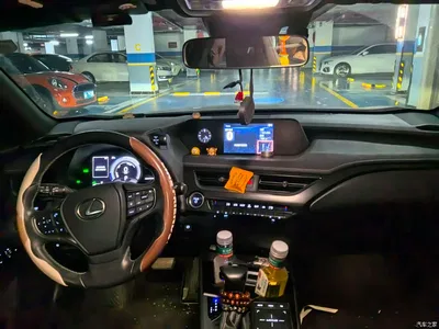 2020 Lexus UX 260h Explore Fun Edition, фото 4, лот 10621465