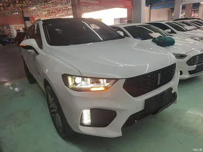 2019 WEY VV5 Upgrade 2.0T 2WD Ultra Luxury China V, фото 4, лот 10452211