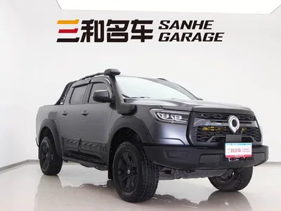 2023 Great Wall Pao 2.0T Off-Road Edition Automatic Gasoline 4WD Everest Edition, фото 3, лот 10245727