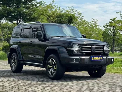 2021 Tank 300 Urban Edition 2.0T Stylish, фото 3, лот 11174737