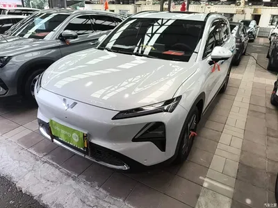 2024 Wuling Motors Wuling Xingguang S 130km Flagship Model, фото 1, лот 10836046