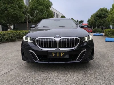 2025 BMW 5 Series 530Li Leading Luxury Package, фото 1, лот 11213013