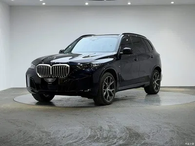 2025 BMW X5 Model xDrive 30Li Exclusive M Sport Blackout Package, фото 1, лот 11139535