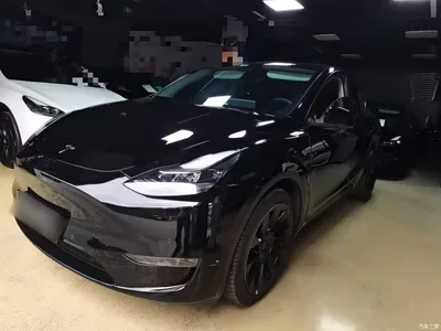 2021 Tesla Model Y Standard Range Rear-Wheel Drive, фото 2, лот 10455389