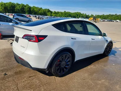 2024 TESLA MODEL Y, фото 3, лот 10851373