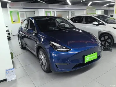 2021 Tesla Model Y Standard Range Rear-Wheel Drive, фото 4, лот 10370175