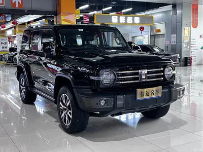 2023 Tank 300 Urban Edition 2.0T Very Stylish, фото 3, лот 10394432