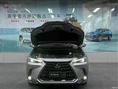 2023 Lexus NX 260 FWD Joy Creation Edition, фото 3, лот 10314933