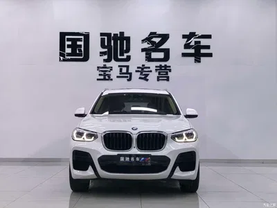 2019 BMW X3 xDrive28i M Sport Package, фото 4, лот 10410954