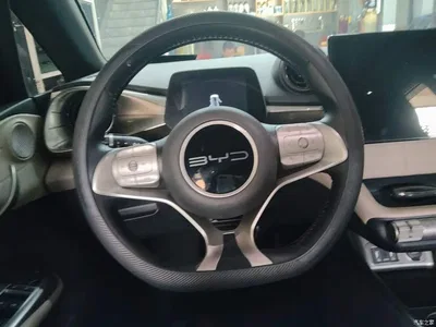 2023 BYD Dolphin 420km Fashion Edition, фото 3, лот 10264418
