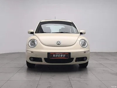 2008 Volkswagen Beetle 2.0 AT Standard, фото 3, лот 10616207