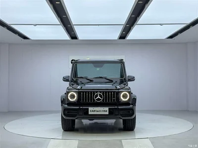 2010 Mercedes-Benz G-Class G 500, фото 2, лот 10323617