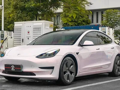 2022 Tesla Model 3 Model Rear-Wheel Drive Version, фото 1, лот 10356461