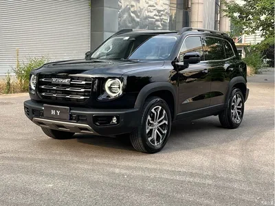 2022 Haval Big Dog 1.5T DCT FWD Border Collie Edition, фото 1, лот 10894346