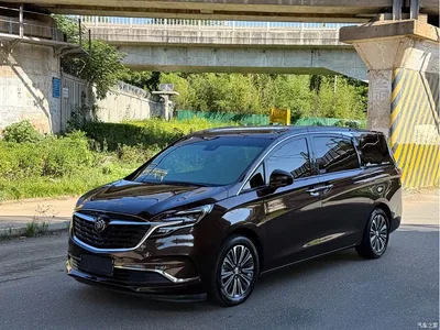 2020 Buick GL8 Model ES Landglory 653T Luxury, фото 1, лот 10255957