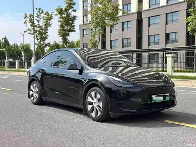 2023 Tesla Model Y Rear-Wheel Drive Edition, фото 3, лот 11074186