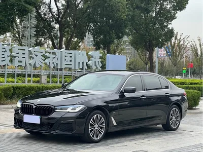 2018 BMW 5 Series 530Li Exclusive Luxury Package, фото 1, лот 11096933