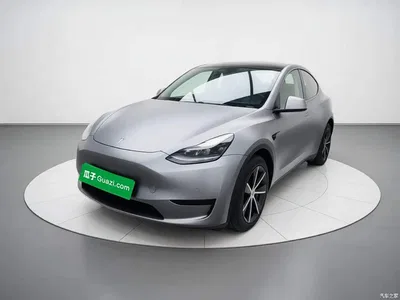 2023 Tesla Model Y Rear-Wheel Drive Edition, фото 1, лот 11448354