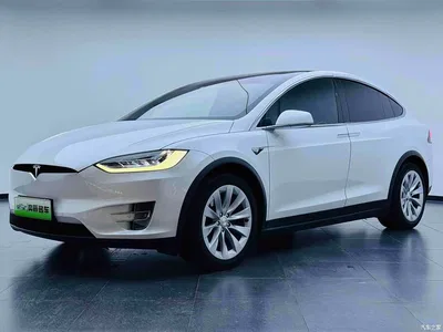 2017 Tesla Model X 100D Long Range, фото 1, лот 10350689