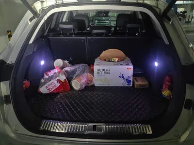 2019 Hongqi HS5 2.0T Smart Connect Enjoy 4WD Edition, фото 4, лот 10287874