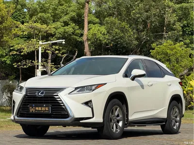 2016 Lexus RX 300 2WD Elite Edition (China V), фото 1, лот 11535938