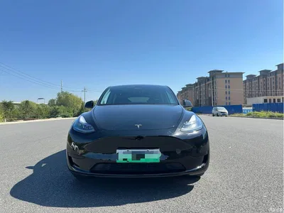 2023 Tesla Model Y Rear-Wheel Drive Edition, фото 2, лот 11568403