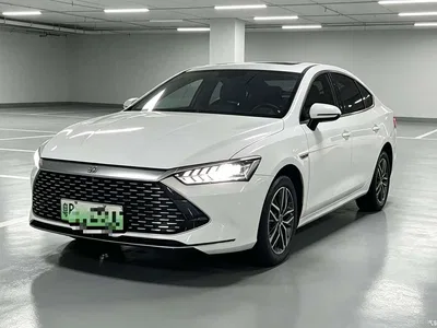 2023 BYD Qin PLUS Champion Edition DM-i 120KM Leading Type, фото 1, лот 10364379