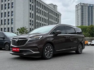 2021 Buick GL8 ES Landlord 653T Flagship, фото 3, лот 10315523