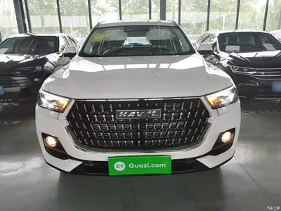2023 Haval H6 National Trend Edition 1.5T Automatic Champion, фото 3, лот 10285630