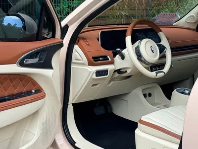 2021 Ora Good Cat 400km Standard Range Athena Edition (LFP), фото 4, лот 10612133