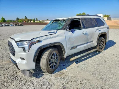 2025 TOYOTA SEQUOIA PLATINUM, фото 1, лот 10543496