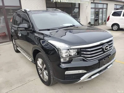 2017 GAC Trumpchi Trumpchi GS8 320T AWD Luxury Smart Connect (7-Seater), фото 4, лот 11223469